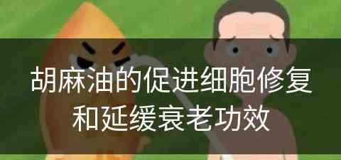 胡麻油的促进细胞修复和延缓衰老功效